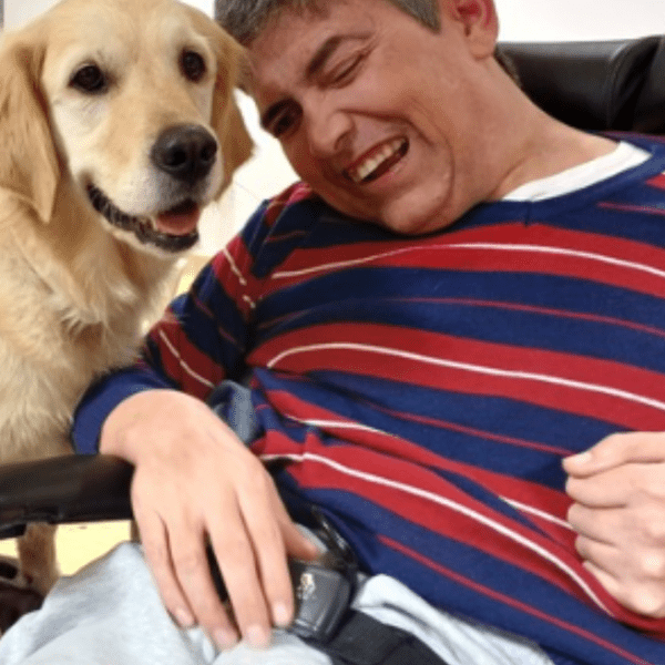 hospital_visita_perros