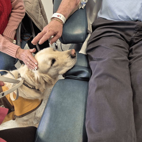 hospital_visita_perros_oncologia
