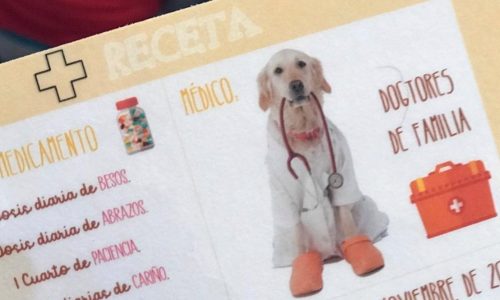 carnet-1